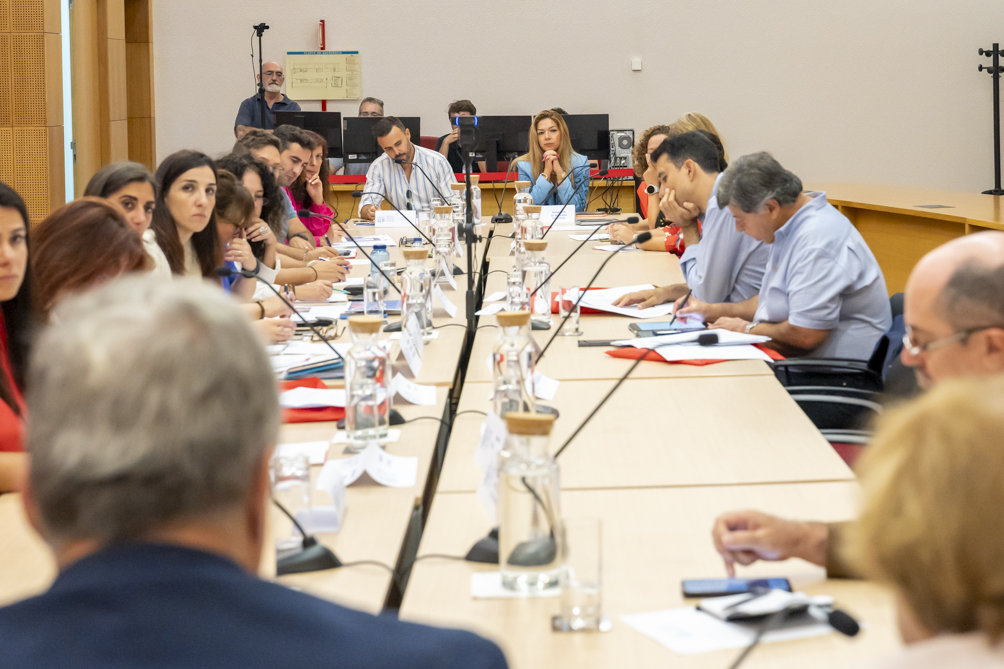 Reunião MMP