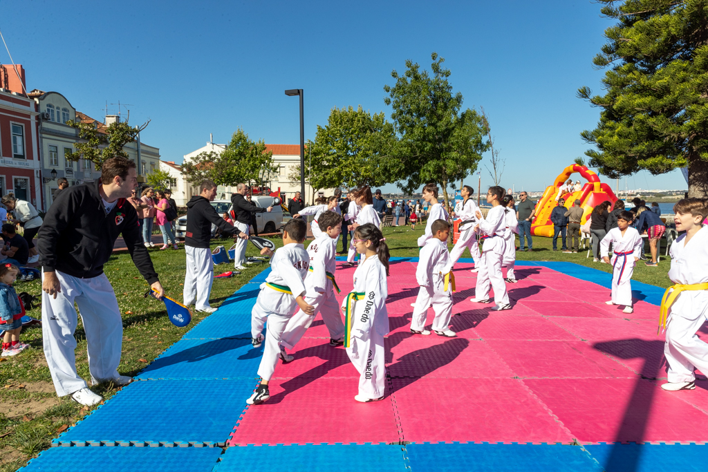 Taekwondo