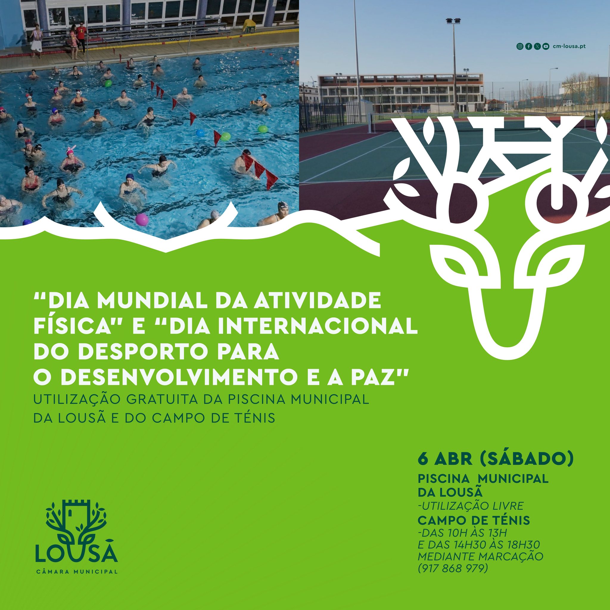 desporto e paz